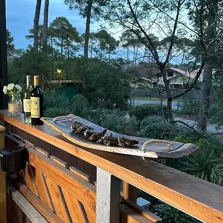 Apartman Le Cocon Cap Foret *