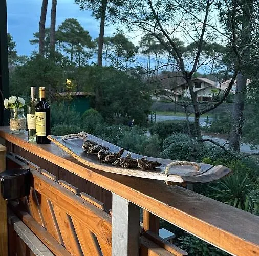 Lejlighed Le Cocon Cap Foret *